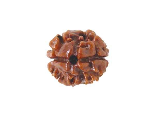 डाऊझिंग पेंडुलम